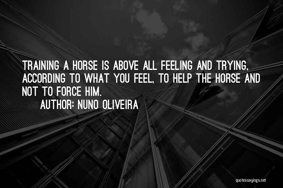 Nuno Oliveira Quotes: Training A Horse Is Above All Feeling And Trying, According To What You Feel, To Help The Horse And Not