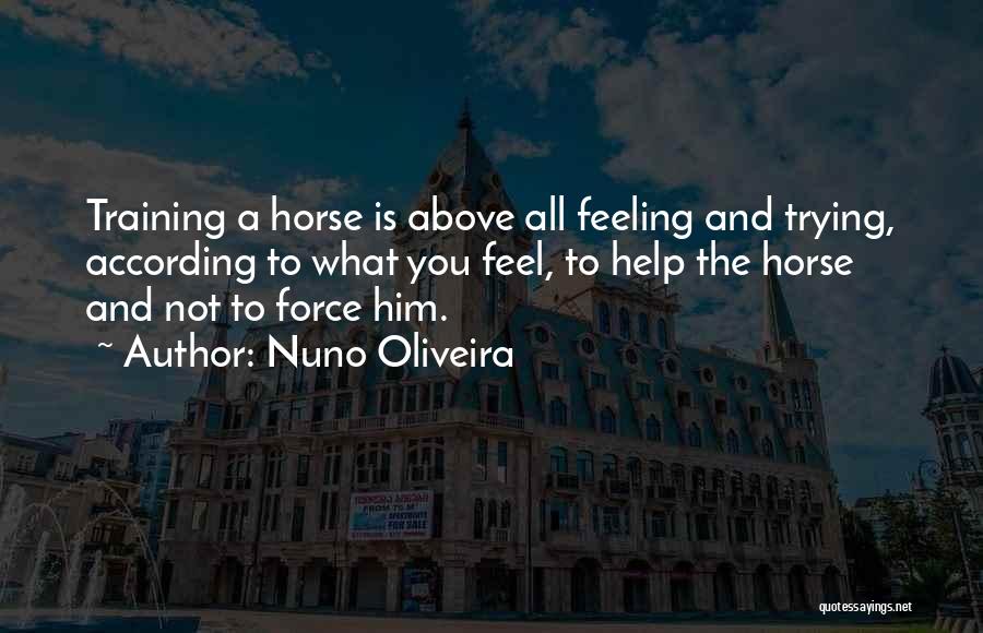 Nuno Oliveira Quotes: Training A Horse Is Above All Feeling And Trying, According To What You Feel, To Help The Horse And Not