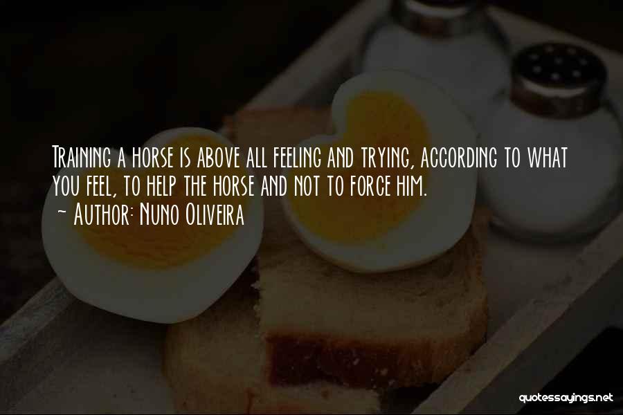 Nuno Oliveira Quotes: Training A Horse Is Above All Feeling And Trying, According To What You Feel, To Help The Horse And Not