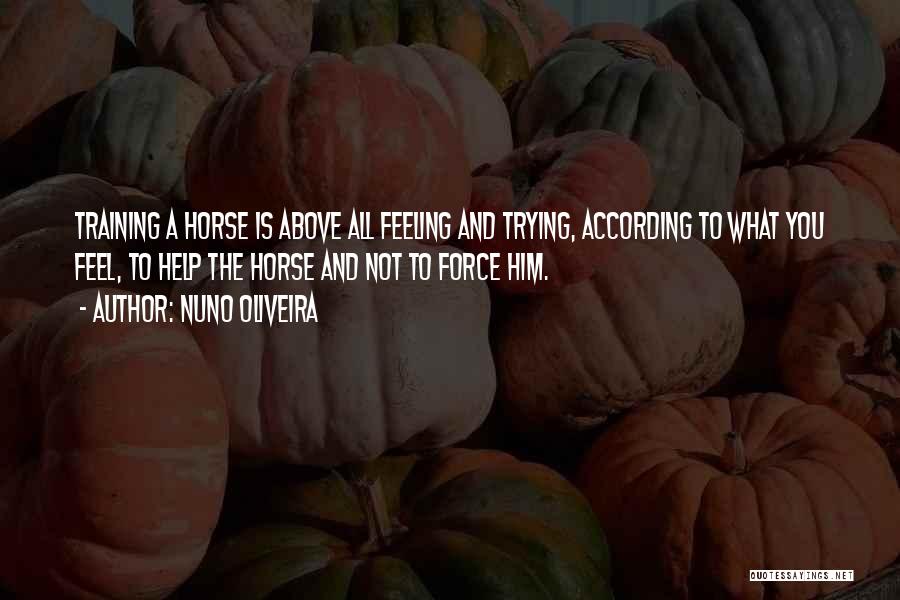 Nuno Oliveira Quotes: Training A Horse Is Above All Feeling And Trying, According To What You Feel, To Help The Horse And Not
