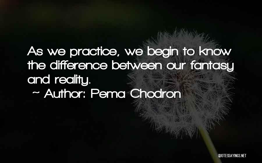 Pema Chodron Quotes: As We Practice, We Begin To Know The Difference Between Our Fantasy And Reality.