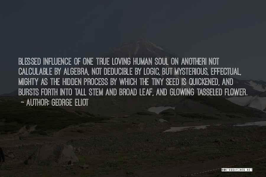 George Eliot Quotes: Blessed Influence Of One True Loving Human Soul On Another! Not Calculable By Algebra, Not Deducible By Logic, But Mysterious,