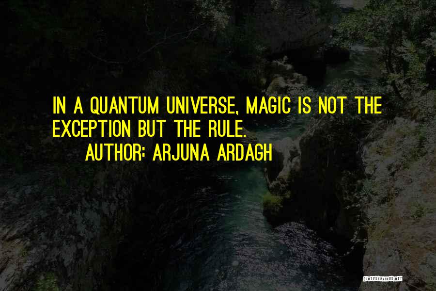 Arjuna Ardagh Quotes: In A Quantum Universe, Magic Is Not The Exception But The Rule.