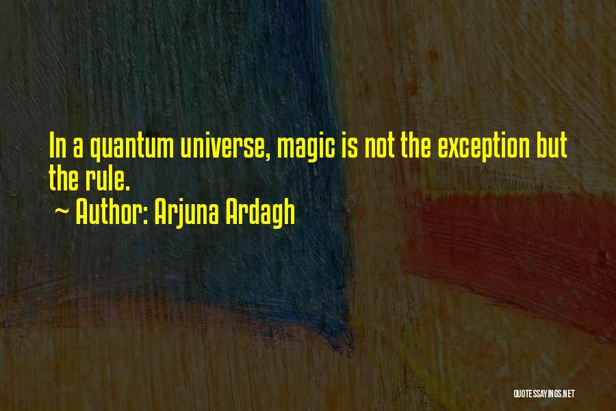 Arjuna Ardagh Quotes: In A Quantum Universe, Magic Is Not The Exception But The Rule.
