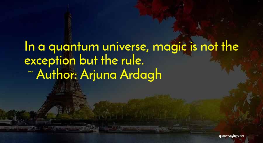 Arjuna Ardagh Quotes: In A Quantum Universe, Magic Is Not The Exception But The Rule.