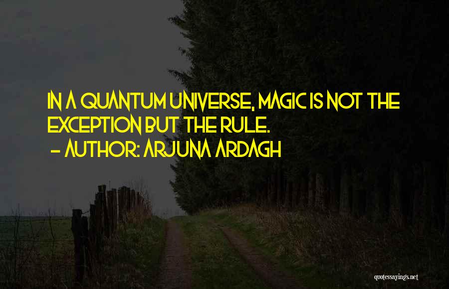 Arjuna Ardagh Quotes: In A Quantum Universe, Magic Is Not The Exception But The Rule.