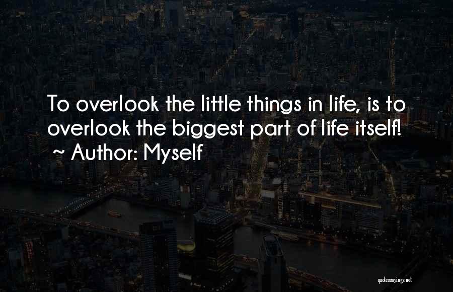 Myself Quotes: To Overlook The Little Things In Life, Is To Overlook The Biggest Part Of Life Itself!