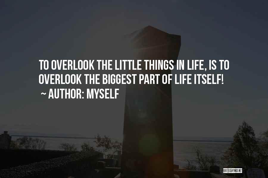 Myself Quotes: To Overlook The Little Things In Life, Is To Overlook The Biggest Part Of Life Itself!