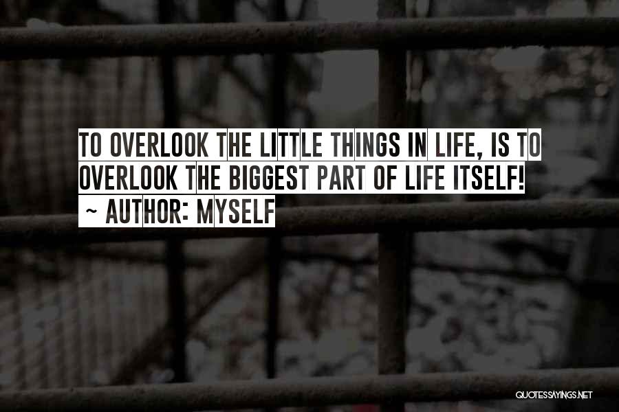 Myself Quotes: To Overlook The Little Things In Life, Is To Overlook The Biggest Part Of Life Itself!