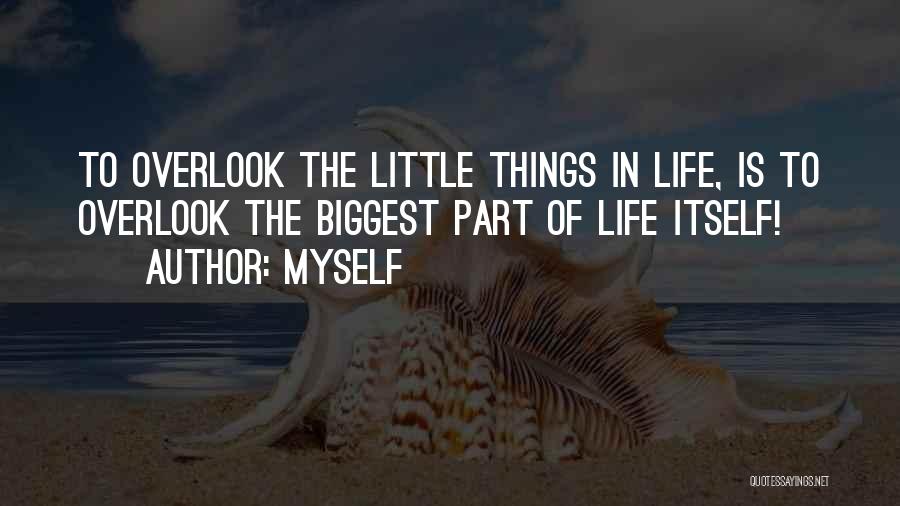 Myself Quotes: To Overlook The Little Things In Life, Is To Overlook The Biggest Part Of Life Itself!