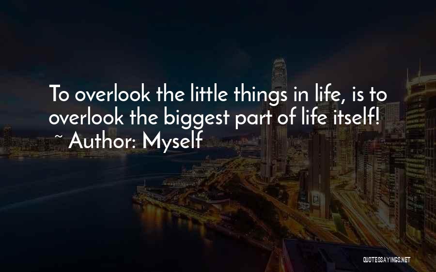 Myself Quotes: To Overlook The Little Things In Life, Is To Overlook The Biggest Part Of Life Itself!