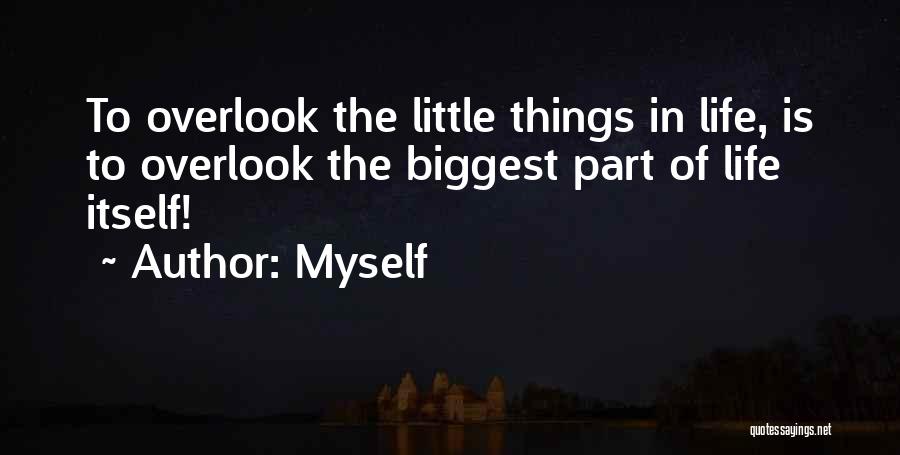 Myself Quotes: To Overlook The Little Things In Life, Is To Overlook The Biggest Part Of Life Itself!