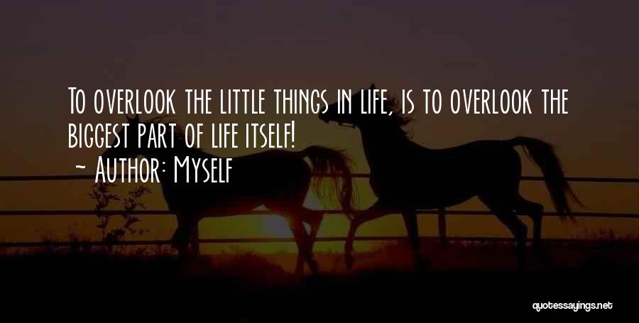 Myself Quotes: To Overlook The Little Things In Life, Is To Overlook The Biggest Part Of Life Itself!