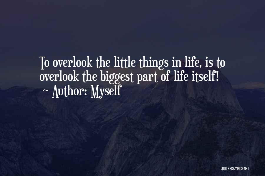 Myself Quotes: To Overlook The Little Things In Life, Is To Overlook The Biggest Part Of Life Itself!