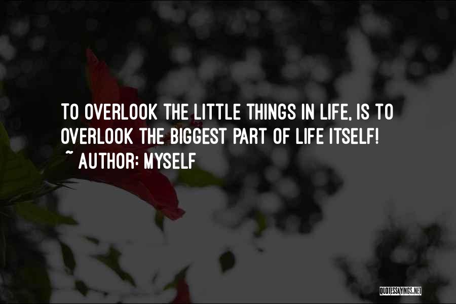 Myself Quotes: To Overlook The Little Things In Life, Is To Overlook The Biggest Part Of Life Itself!