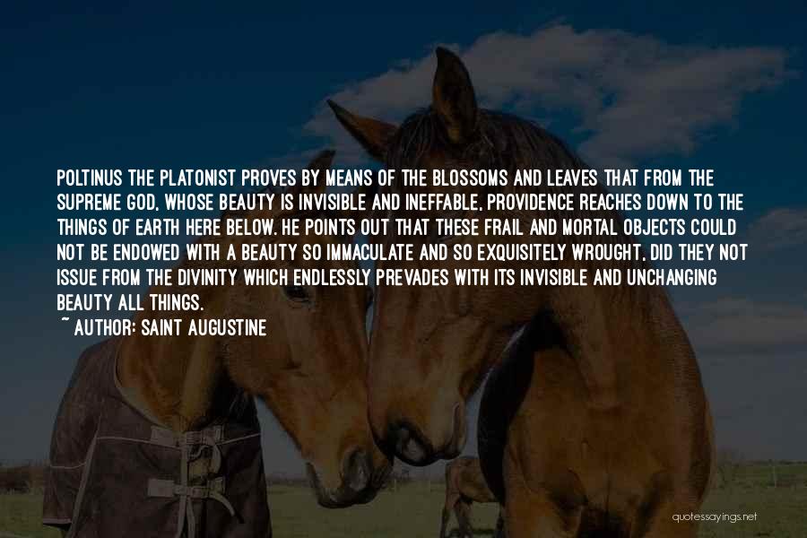 Saint Augustine Quotes: Poltinus The Platonist Proves By Means Of The Blossoms And Leaves That From The Supreme God, Whose Beauty Is Invisible