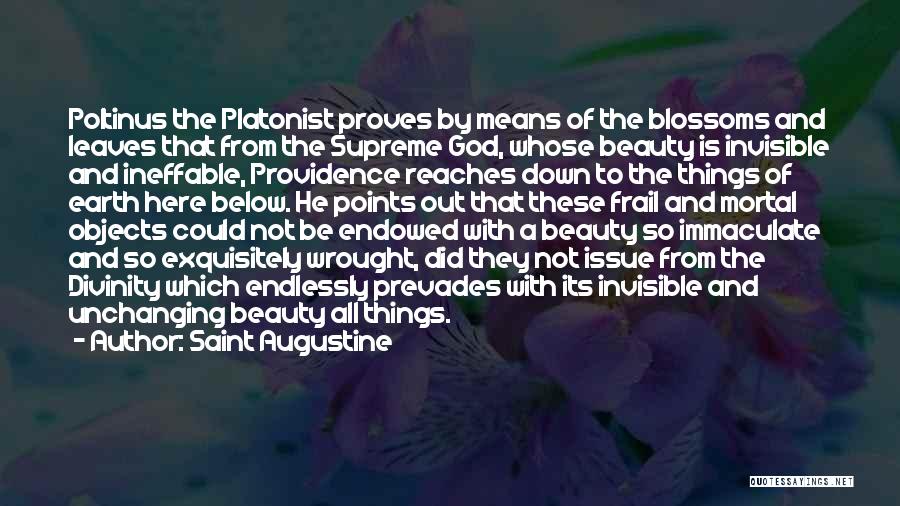 Saint Augustine Quotes: Poltinus The Platonist Proves By Means Of The Blossoms And Leaves That From The Supreme God, Whose Beauty Is Invisible