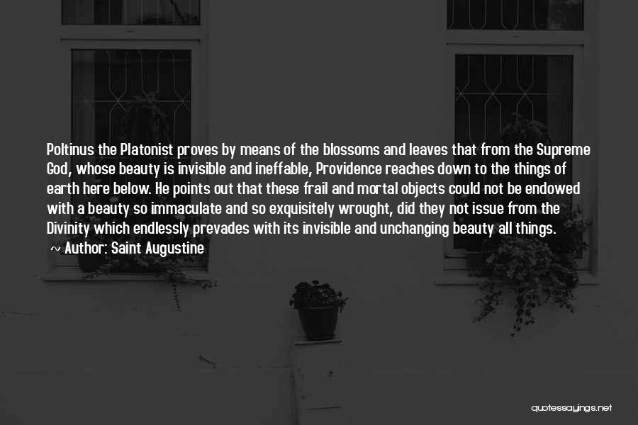 Saint Augustine Quotes: Poltinus The Platonist Proves By Means Of The Blossoms And Leaves That From The Supreme God, Whose Beauty Is Invisible