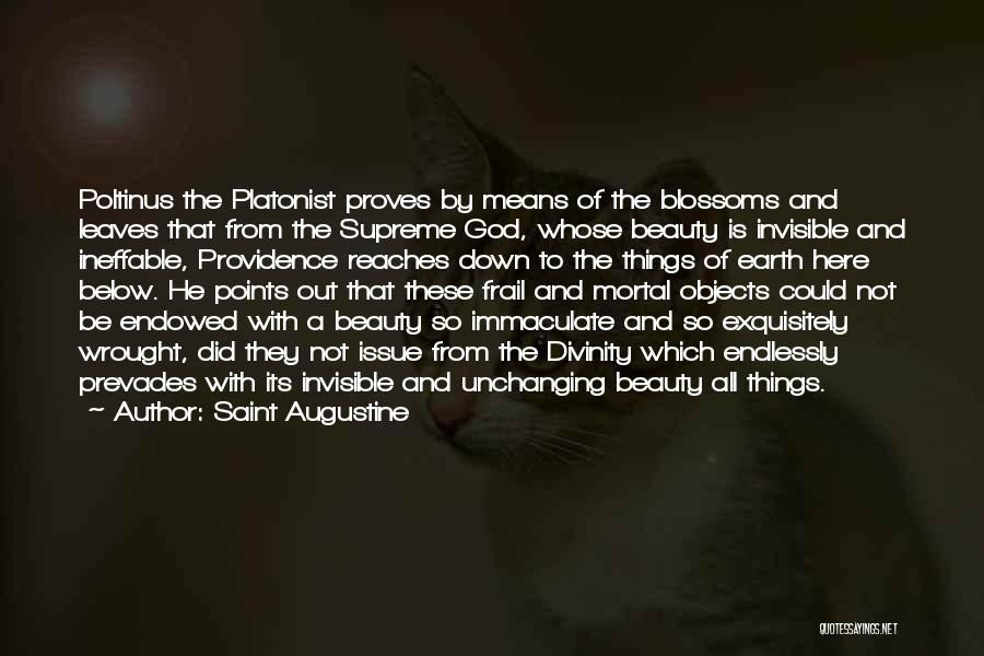 Saint Augustine Quotes: Poltinus The Platonist Proves By Means Of The Blossoms And Leaves That From The Supreme God, Whose Beauty Is Invisible