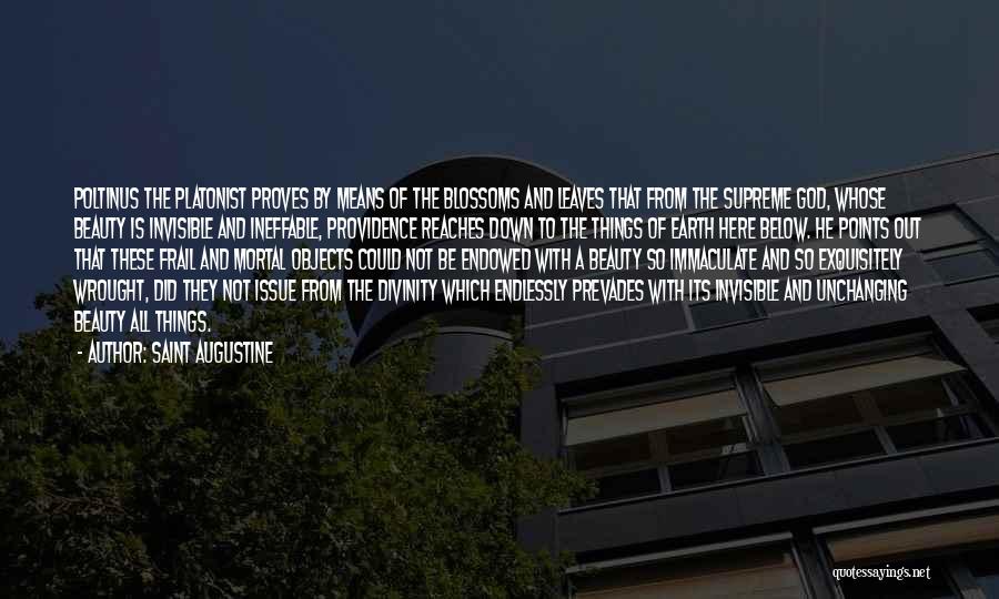 Saint Augustine Quotes: Poltinus The Platonist Proves By Means Of The Blossoms And Leaves That From The Supreme God, Whose Beauty Is Invisible