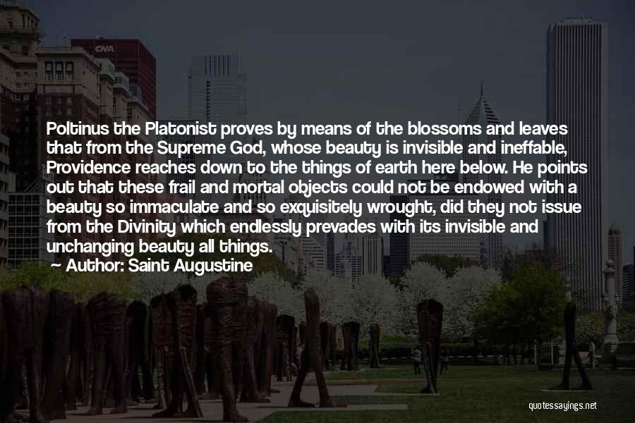 Saint Augustine Quotes: Poltinus The Platonist Proves By Means Of The Blossoms And Leaves That From The Supreme God, Whose Beauty Is Invisible