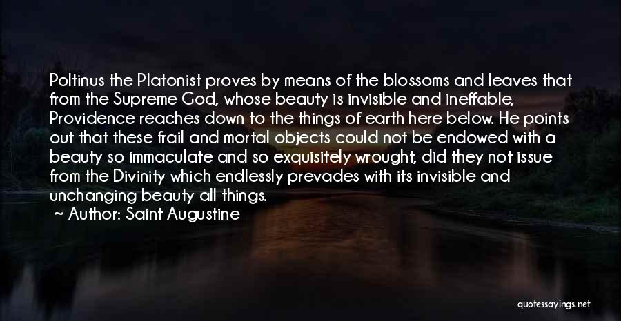 Saint Augustine Quotes: Poltinus The Platonist Proves By Means Of The Blossoms And Leaves That From The Supreme God, Whose Beauty Is Invisible