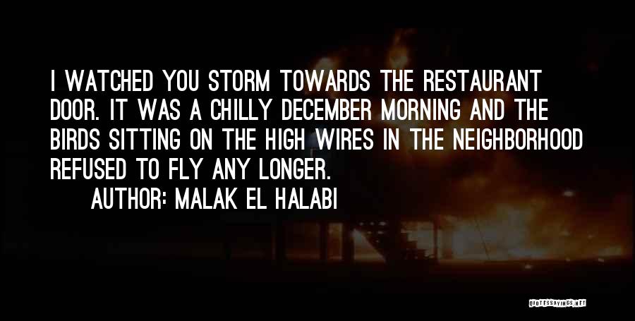 Malak El Halabi Quotes: I Watched You Storm Towards The Restaurant Door. It Was A Chilly December Morning And The Birds Sitting On The