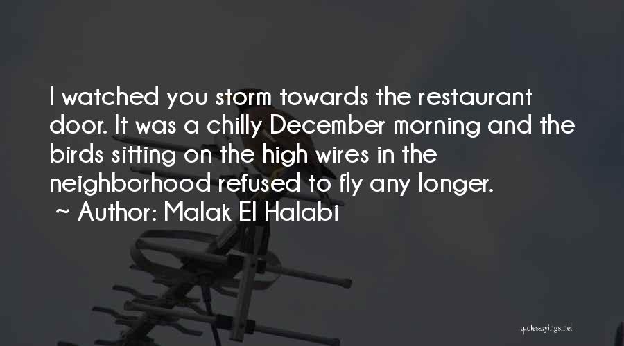 Malak El Halabi Quotes: I Watched You Storm Towards The Restaurant Door. It Was A Chilly December Morning And The Birds Sitting On The