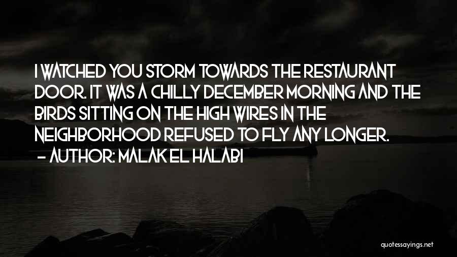 Malak El Halabi Quotes: I Watched You Storm Towards The Restaurant Door. It Was A Chilly December Morning And The Birds Sitting On The