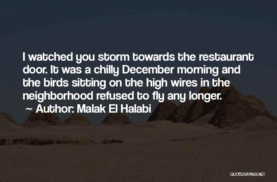 Malak El Halabi Quotes: I Watched You Storm Towards The Restaurant Door. It Was A Chilly December Morning And The Birds Sitting On The