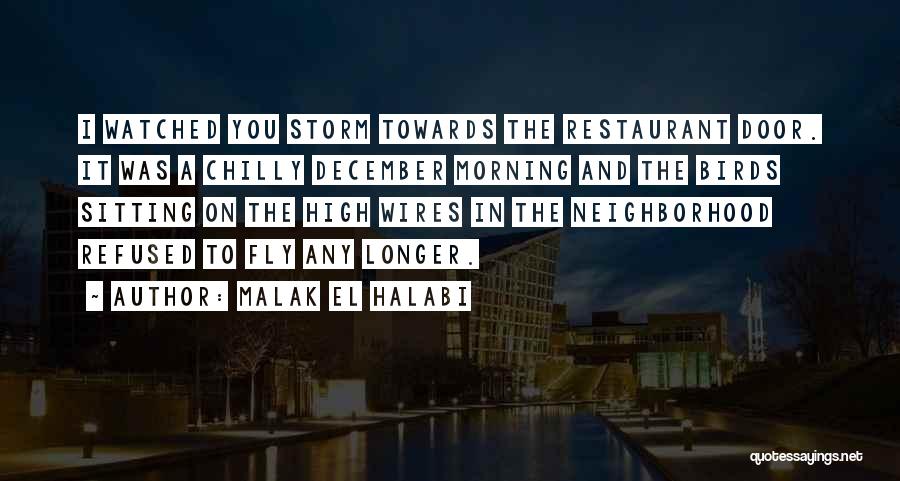 Malak El Halabi Quotes: I Watched You Storm Towards The Restaurant Door. It Was A Chilly December Morning And The Birds Sitting On The