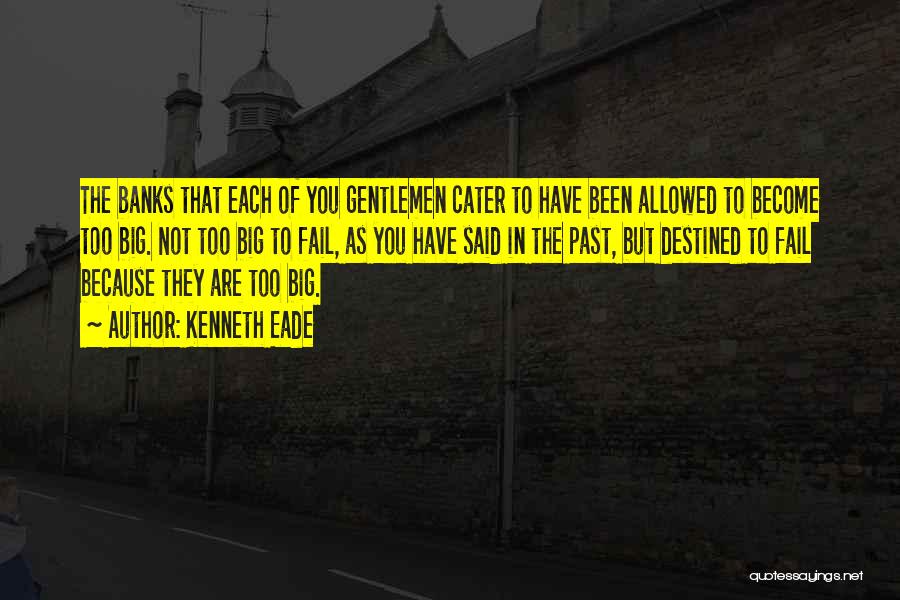 Kenneth Eade Quotes: The Banks That Each Of You Gentlemen Cater To Have Been Allowed To Become Too Big. Not Too Big To