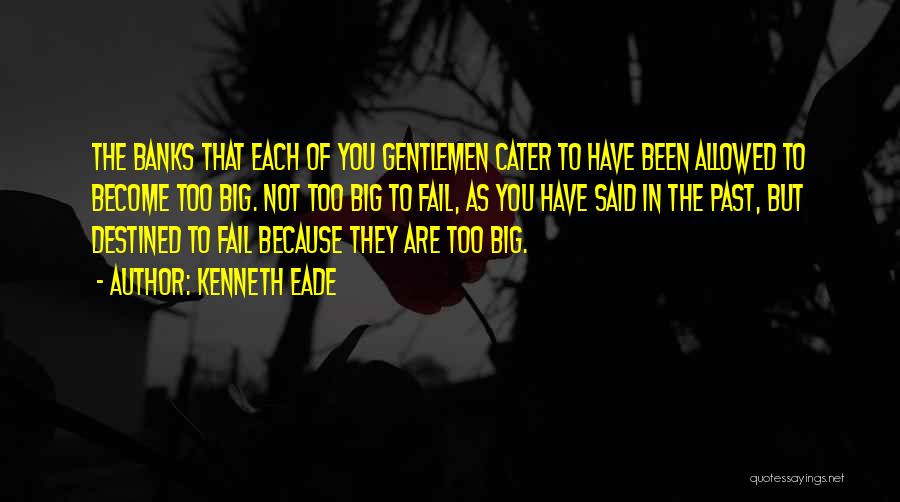 Kenneth Eade Quotes: The Banks That Each Of You Gentlemen Cater To Have Been Allowed To Become Too Big. Not Too Big To