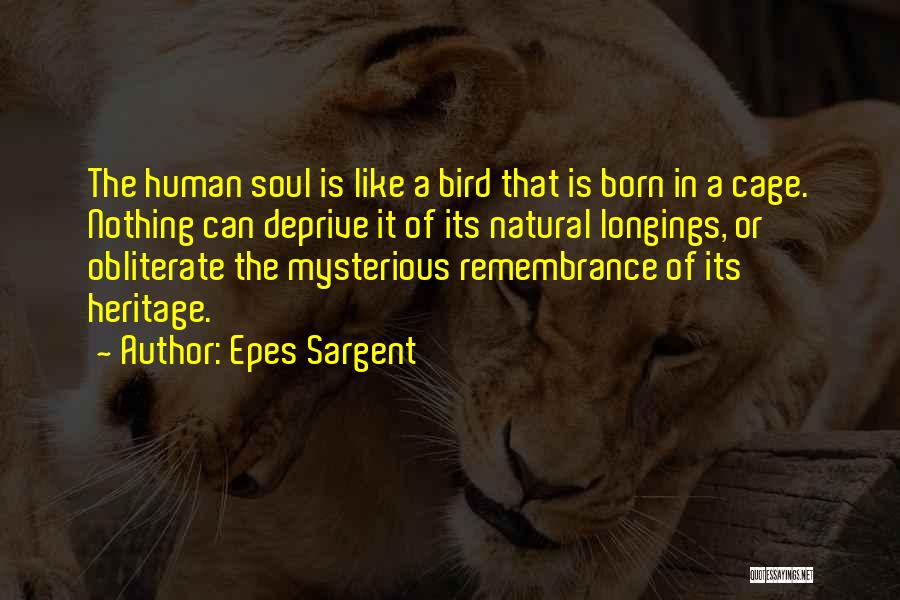 Epes Sargent Quotes: The Human Soul Is Like A Bird That Is Born In A Cage. Nothing Can Deprive It Of Its Natural
