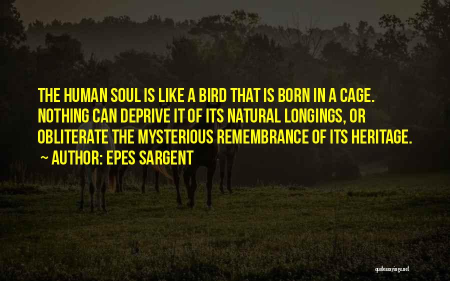 Epes Sargent Quotes: The Human Soul Is Like A Bird That Is Born In A Cage. Nothing Can Deprive It Of Its Natural