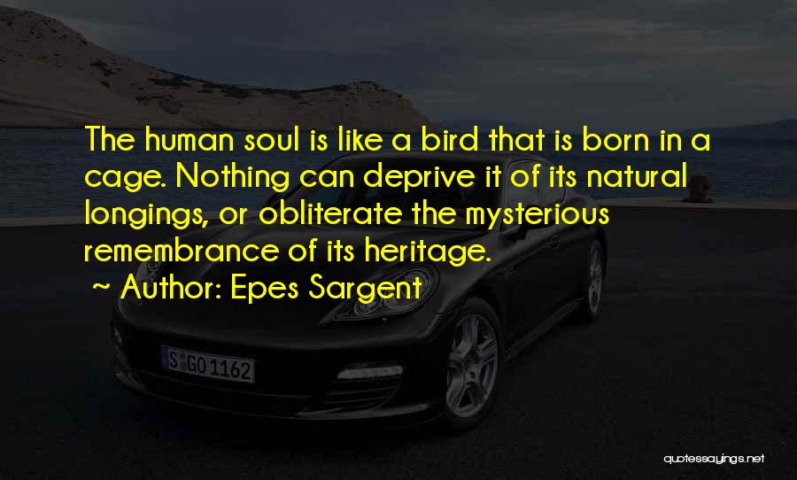 Epes Sargent Quotes: The Human Soul Is Like A Bird That Is Born In A Cage. Nothing Can Deprive It Of Its Natural