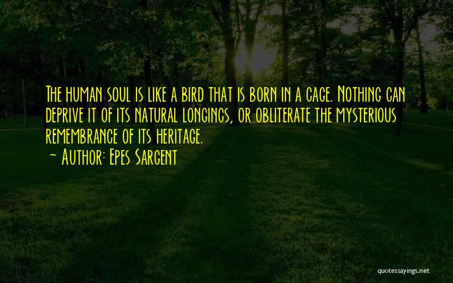 Epes Sargent Quotes: The Human Soul Is Like A Bird That Is Born In A Cage. Nothing Can Deprive It Of Its Natural