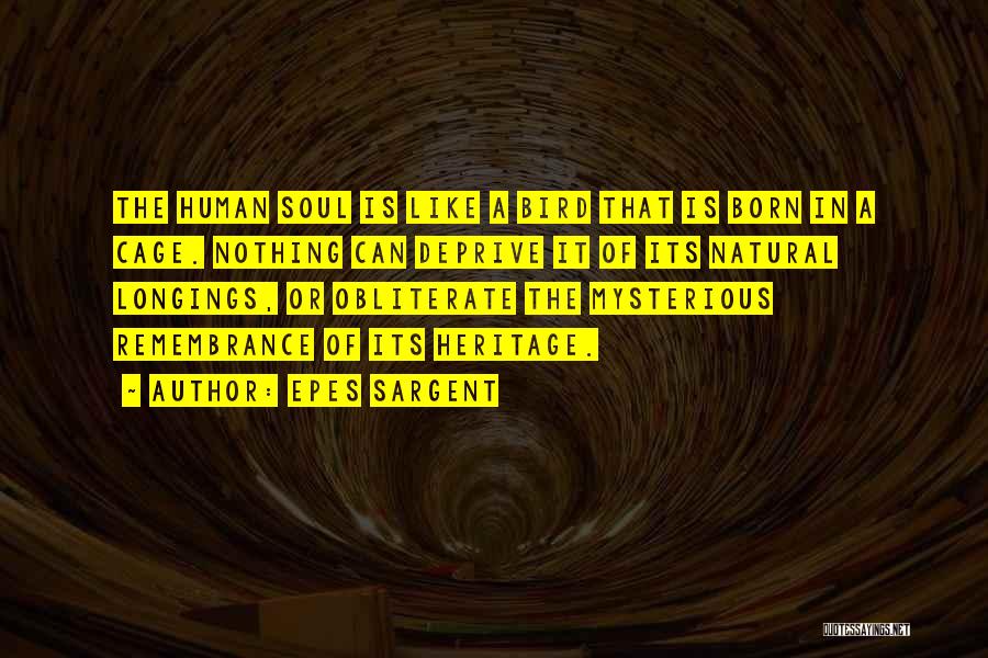 Epes Sargent Quotes: The Human Soul Is Like A Bird That Is Born In A Cage. Nothing Can Deprive It Of Its Natural
