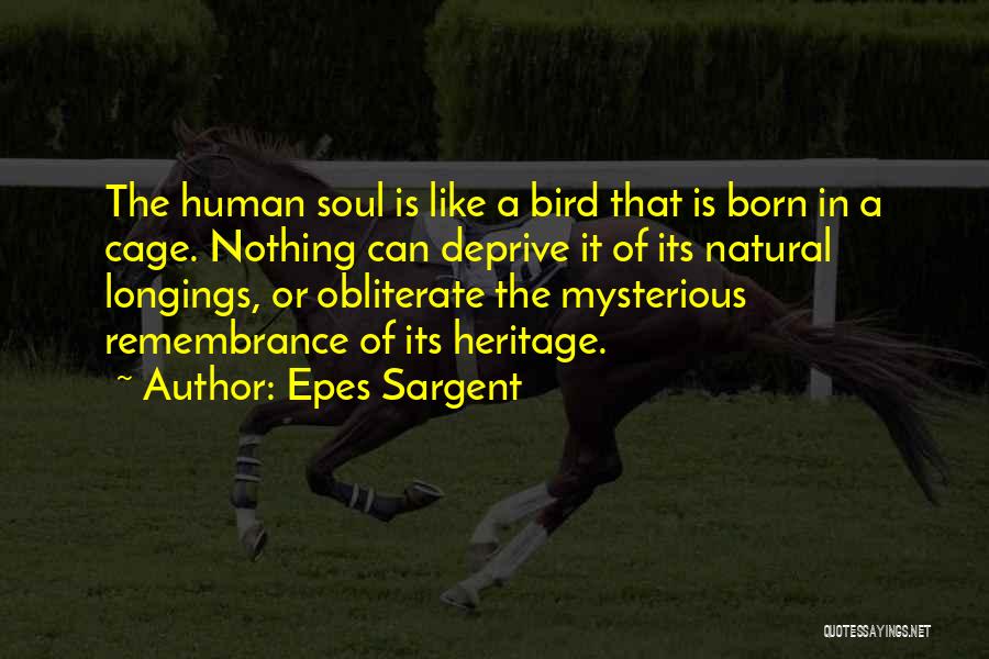 Epes Sargent Quotes: The Human Soul Is Like A Bird That Is Born In A Cage. Nothing Can Deprive It Of Its Natural