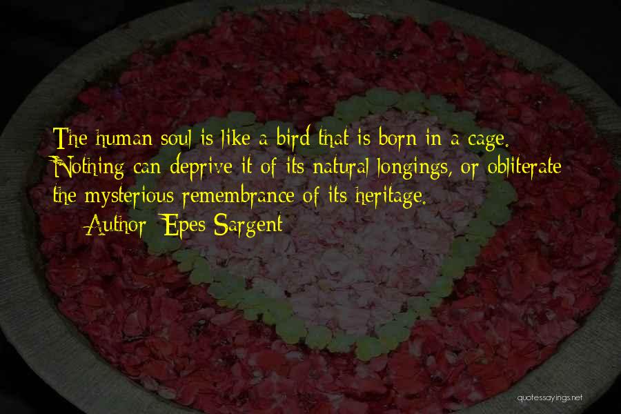 Epes Sargent Quotes: The Human Soul Is Like A Bird That Is Born In A Cage. Nothing Can Deprive It Of Its Natural