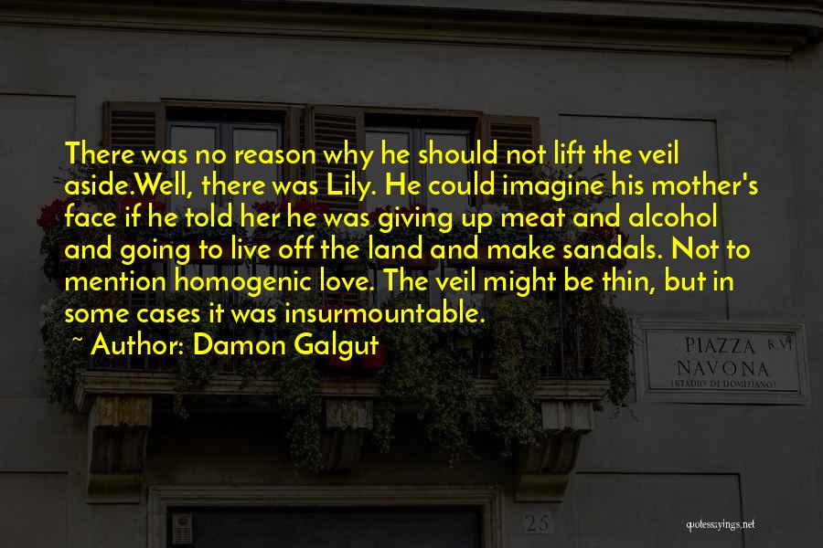 Damon Galgut Quotes: There Was No Reason Why He Should Not Lift The Veil Aside.well, There Was Lily. He Could Imagine His Mother's