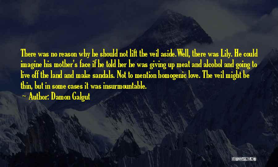 Damon Galgut Quotes: There Was No Reason Why He Should Not Lift The Veil Aside.well, There Was Lily. He Could Imagine His Mother's