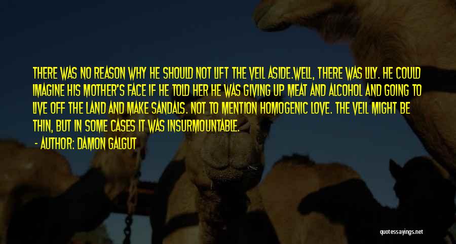 Damon Galgut Quotes: There Was No Reason Why He Should Not Lift The Veil Aside.well, There Was Lily. He Could Imagine His Mother's