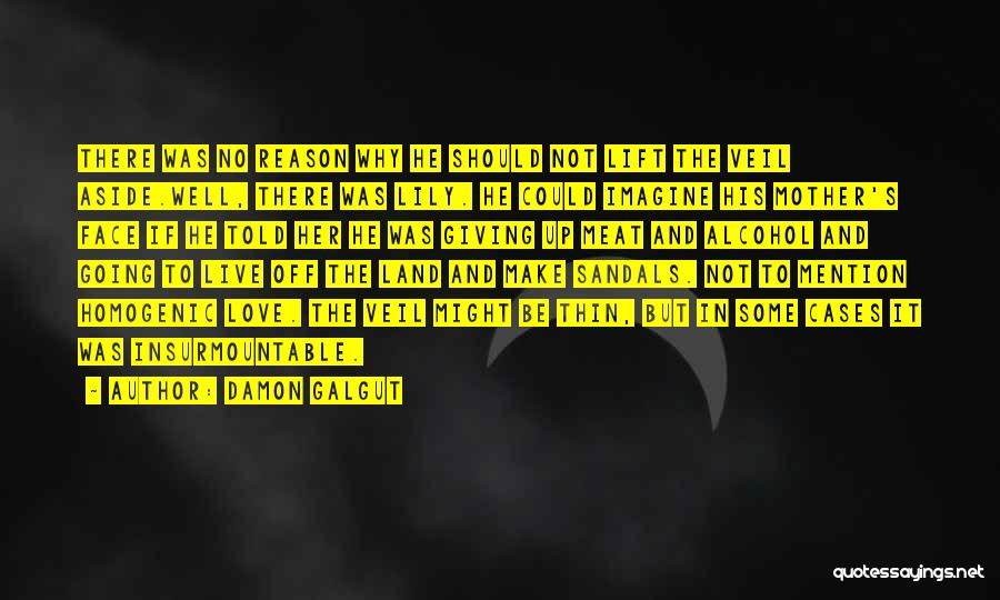 Damon Galgut Quotes: There Was No Reason Why He Should Not Lift The Veil Aside.well, There Was Lily. He Could Imagine His Mother's