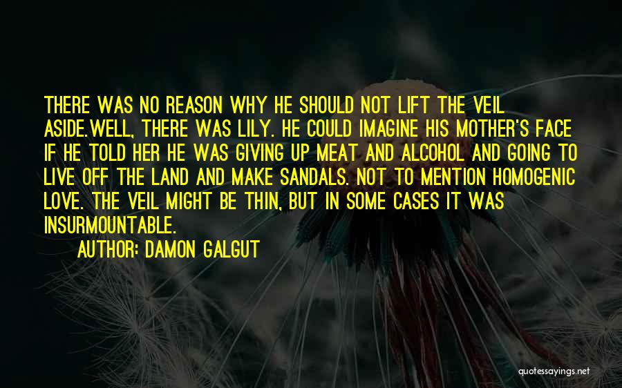 Damon Galgut Quotes: There Was No Reason Why He Should Not Lift The Veil Aside.well, There Was Lily. He Could Imagine His Mother's