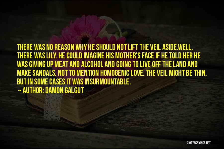 Damon Galgut Quotes: There Was No Reason Why He Should Not Lift The Veil Aside.well, There Was Lily. He Could Imagine His Mother's