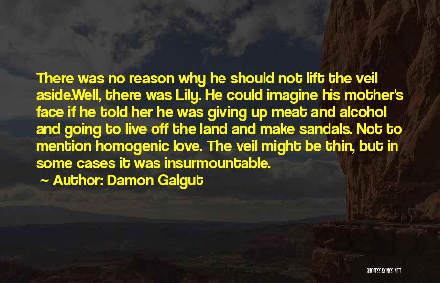 Damon Galgut Quotes: There Was No Reason Why He Should Not Lift The Veil Aside.well, There Was Lily. He Could Imagine His Mother's
