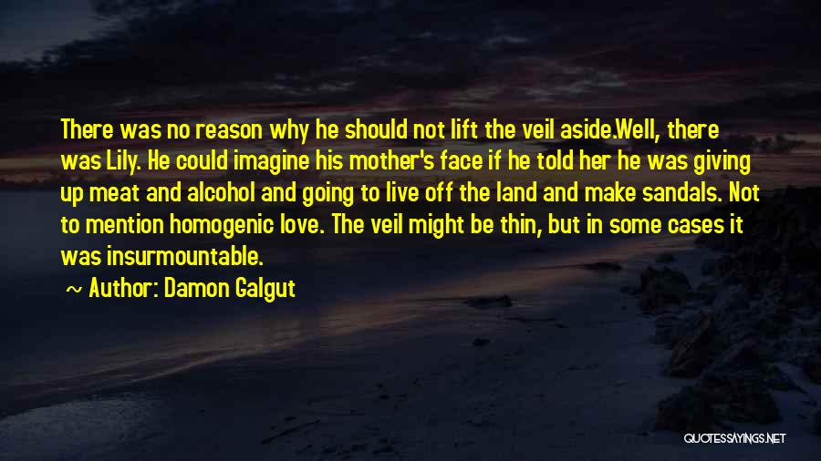 Damon Galgut Quotes: There Was No Reason Why He Should Not Lift The Veil Aside.well, There Was Lily. He Could Imagine His Mother's