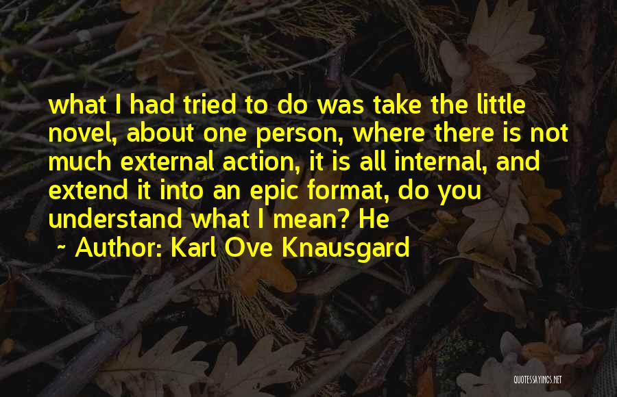 Karl Ove Knausgard Quotes: What I Had Tried To Do Was Take The Little Novel, About One Person, Where There Is Not Much External