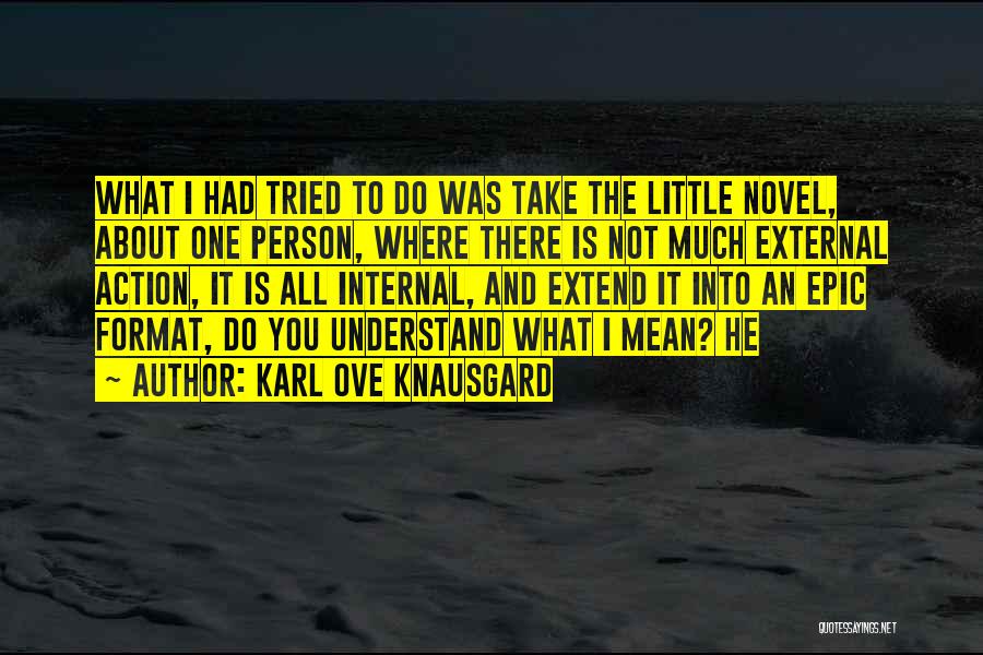 Karl Ove Knausgard Quotes: What I Had Tried To Do Was Take The Little Novel, About One Person, Where There Is Not Much External